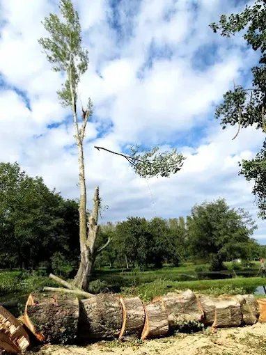 Entretien d’arbres après tempête à Marignac-Laspeyres