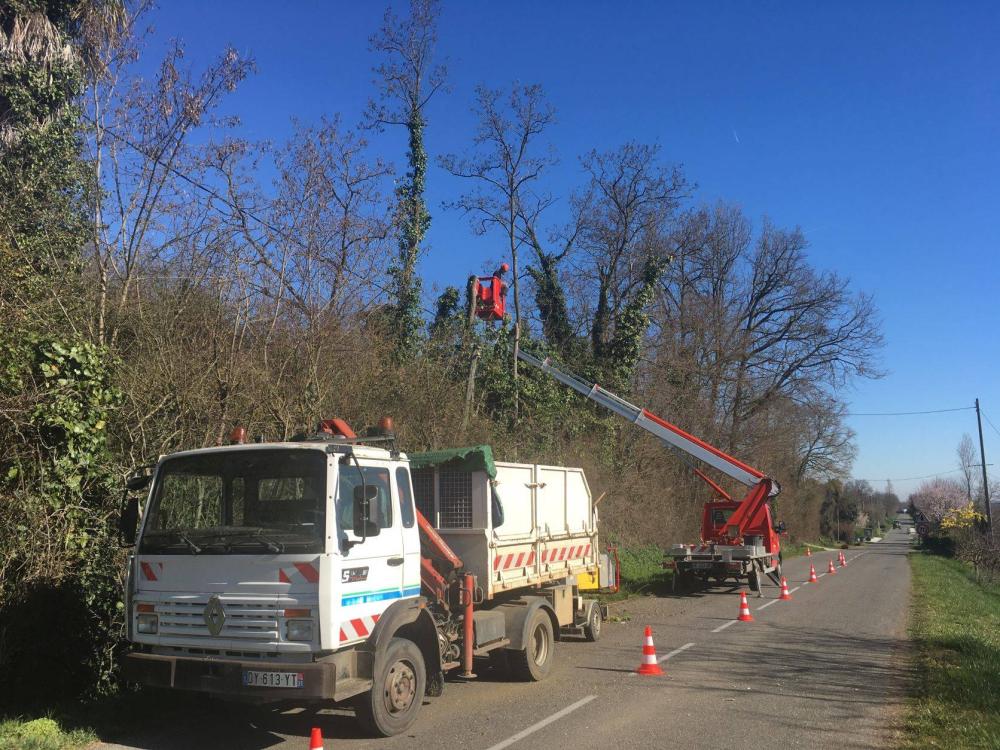 taille des arbres à Marignac-Laspeyres