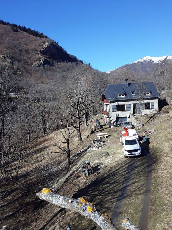 arbremi (25)