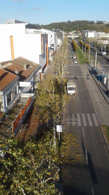 arbremi (6)